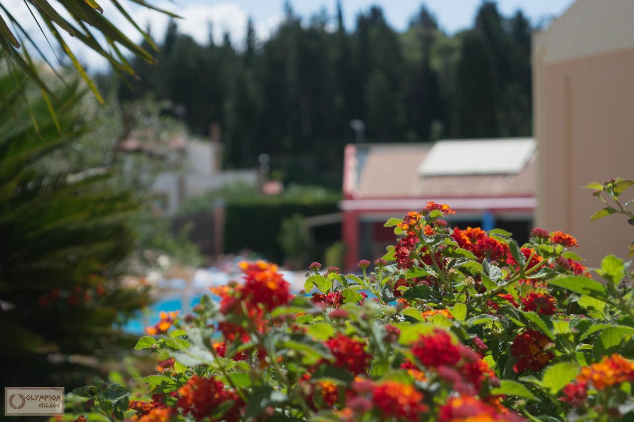 Olympion Village Kávos Buitenkant foto